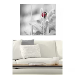 Image of MDF796483 Multicolor Decorative MDF Painting (3 Pieces)