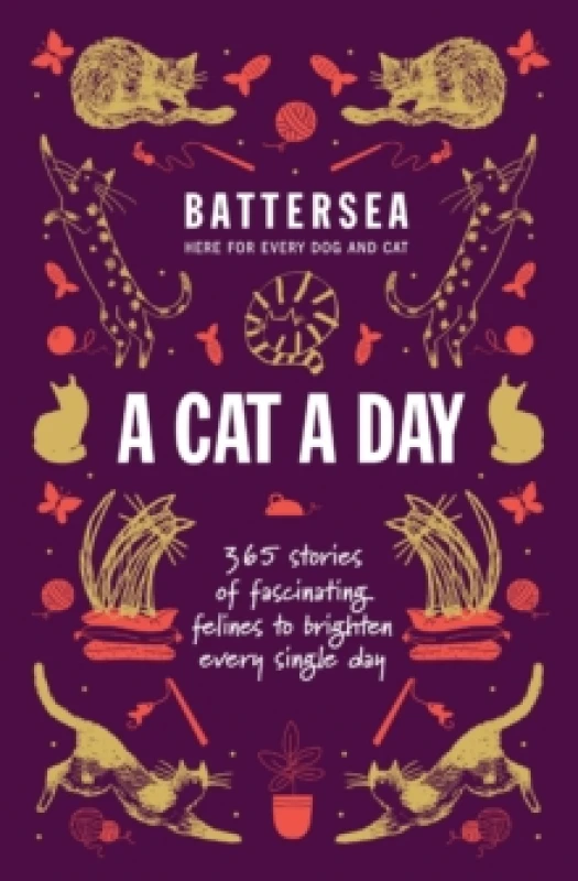 Image of A Cat a Day. Paperback. By Battersea Dogs Cats Home Books