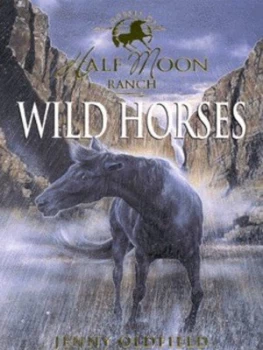 Image of Wild Horses by Jenny Oldfield Paperback