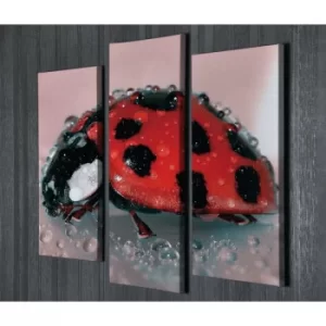 Image of UC58 Multicolor Decorative Canvas Painting (3 Pieces)