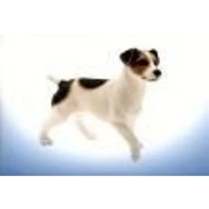 Image of Jack Russell Terrier Figurine By Lesser & Pavey