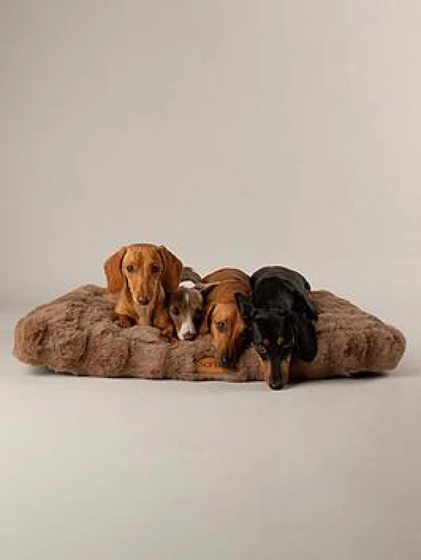 Image of Scruffs Alpine Dog Bed Mattress Medium Taupe BED/RCD/829788