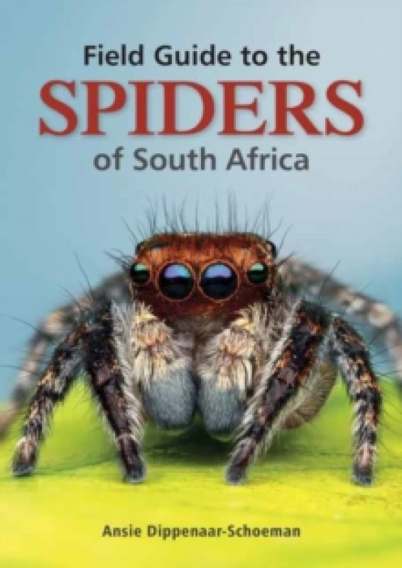 Image of Field Guide to the Spiders of South Africa Paperback / softback