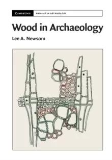 Image of Wood in Archaeology