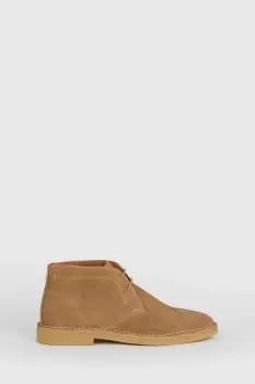 Image of Stone Suede Desert Boots