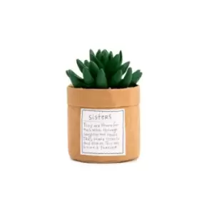 Image of Plant Kindness - Sisters