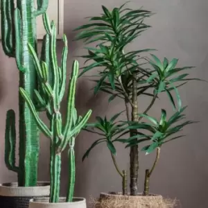 Image of Crossland Grove Yucca Tree W/6 Heads 710X710X1220Mm