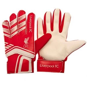 Image of Liverpool FC Goalkeeper Gloves Yths