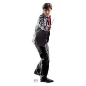 Image of Harry Potter - Harry Potter Mini Cardboard Cut Out