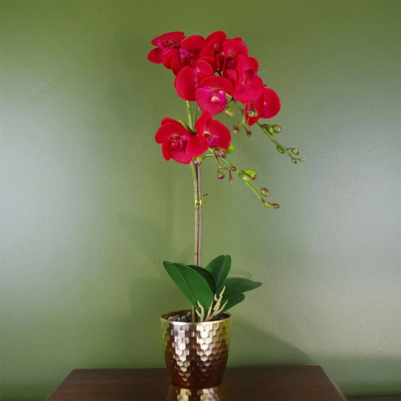 Image of Leaf Orchid Artificial Red Leopard Gold Pot 50cm Phalaenopsis Botanik Red