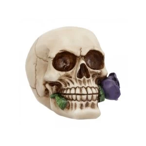 Image of Purple Rose from the Dead Skull