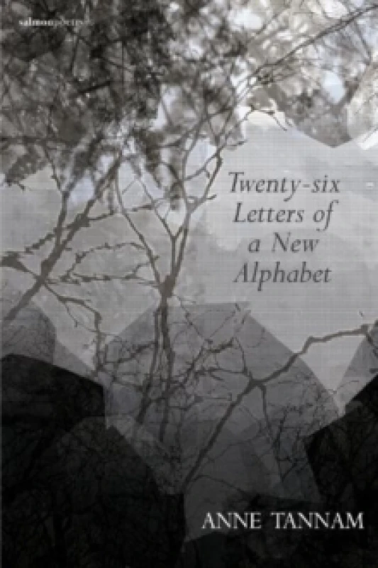 Image of Twenty-six Letters of a New Alphabet Paperback / softback