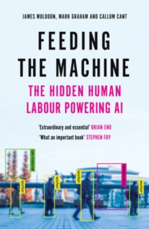 Image of Feeding The Machine : The Hidden Human Labour Powering AI Hardback