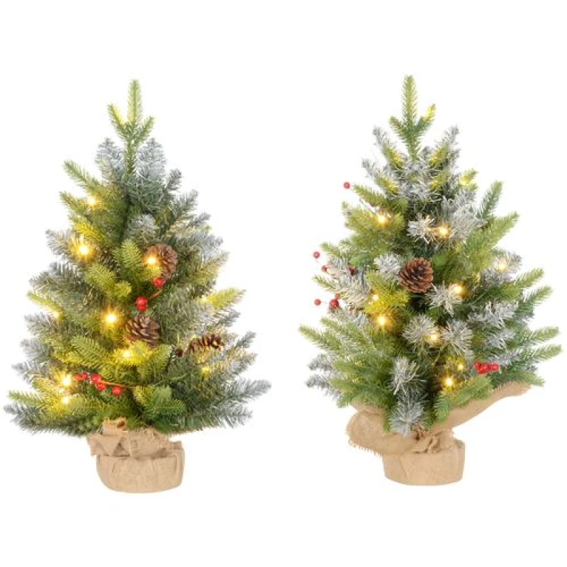Image of HOMCOM 2 Pieces 2' Prelit Artificial Tabletop Christmas Trees, LED Display, Green 830-920V02GN