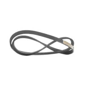 Image of RIDEX V-ribbed belt RENAULT,HYUNDAI,NISSAN 305P0374 B59515909,B59615909,MD130766 MD144639,MD186126,MD187458,111172050A10JP,1172050A00,1172050A10