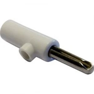Image of Jack plug Plug straight Pin diameter 4mm White Schnepp