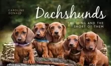Image of Dachshunds : The Long and the Short of Them