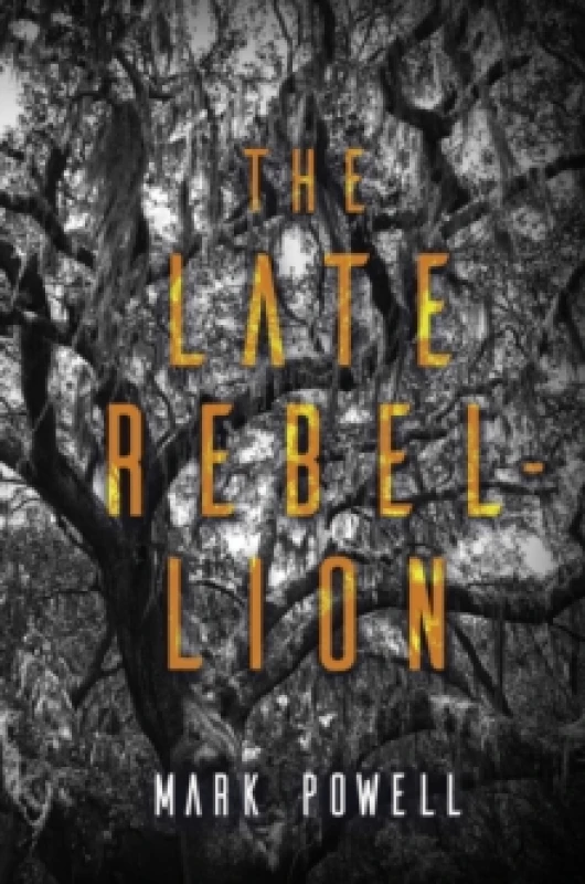 Image of The Late Rebellion Paperback / softback