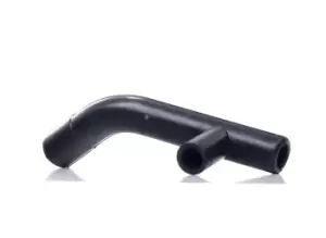 Image of RIDEX Crankcase Breather VW,SEAT 1600H16000022 037103493AP,037103493AP,37103493AP Crankcase Ventilation,Hose, crankcase breather 037103493AP