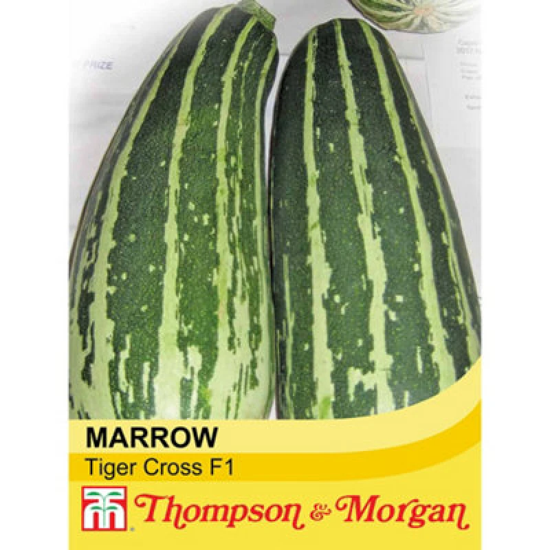 Image of Thompson & Morgan Marrow Tiger Cross F1 Hybrid 1 Seed Packet (12 Seeds)