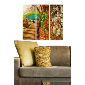 Image of MDF47207383 Multicolor Decorative MDF Painting (3 Pieces)