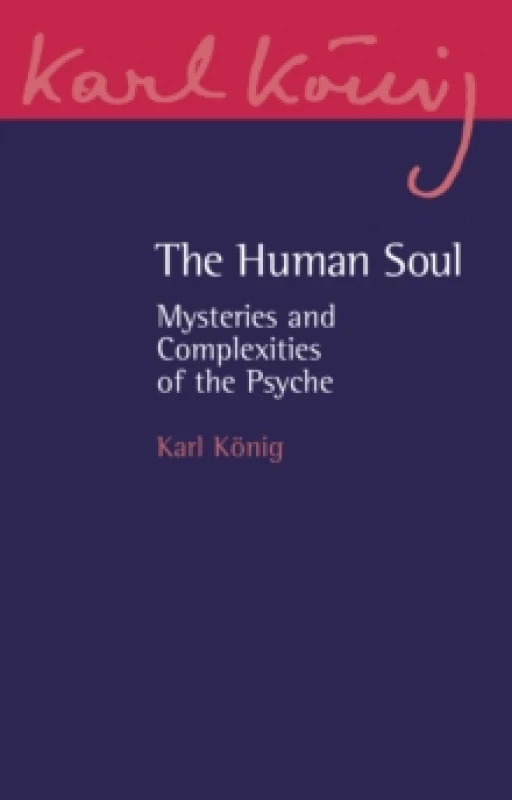 Image of The Human Soul : Mysteries and Complexities of the Psyche Paperback / softback