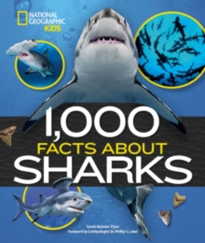 Image of 1,000 Facts About Sharks Hardback