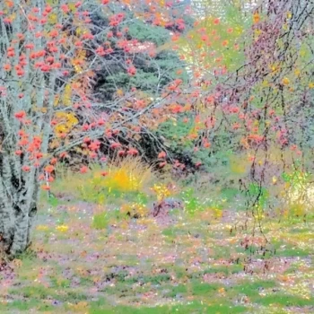 Image of Collider - -