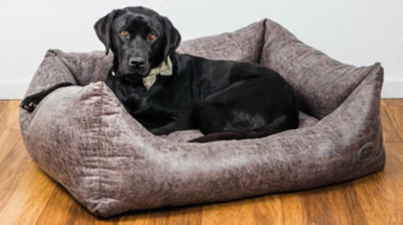 Image of Snug & Cosy Pets Snug And Cosy Rhodeo Rectangle Bed Small