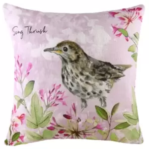 Image of Evans Lichfield Song Thrush Cushion Cover (43cm x 43cm) (Multicoloured)