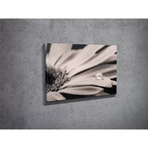 Image of DC027 Multicolor Decorative Canvas Painting