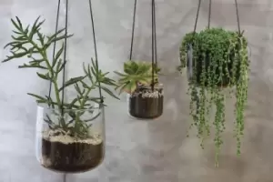 Image of Nkuku Viri Hanging Planter Vases & Planters Clear Medium 13 x 13cm (Diameter)