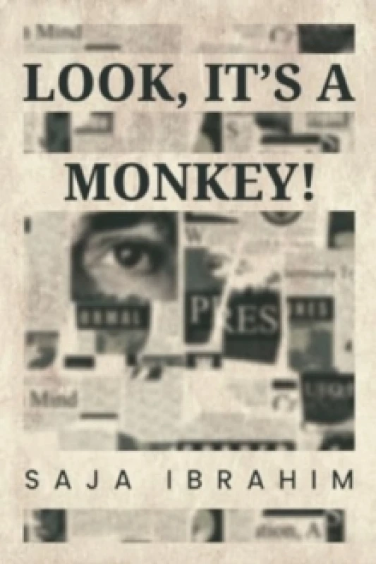 Image of Look, It's a Monkey! Paperback / softback
