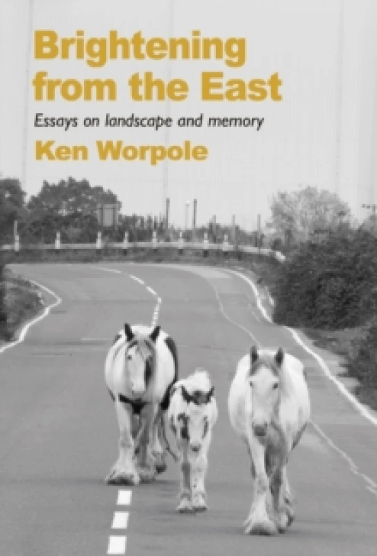 Image of Brightening from the East Paperback / softback
