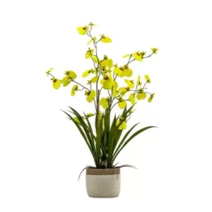 Image of Crossland Grove Potted Oncidium Orchid (real Touch) Yellow H640Mm