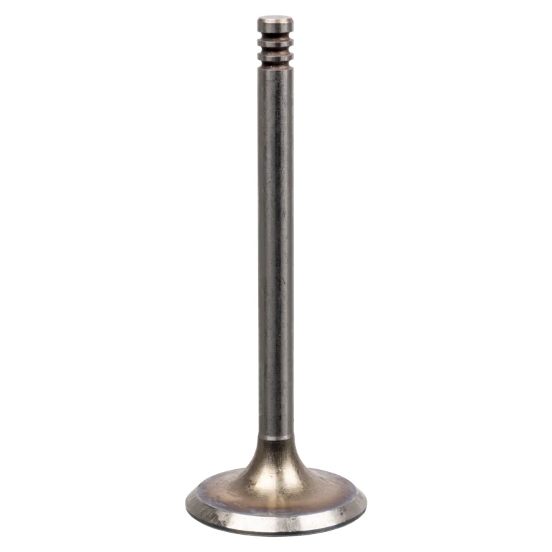 Image of FEBI BILSTEIN Inlet Valves 19992 Intake Valves,Inlet Valve VW,AUDI,SKODA,Golf IV Schragheck (1J1),GOLF III (1H1),Golf IV Variant (1J5)