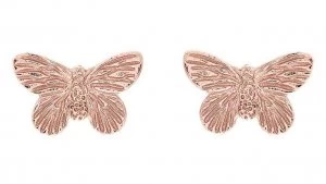 Image of Olivia Burton 3D Butterfly Rose Gold Stud Earrings Jewellery