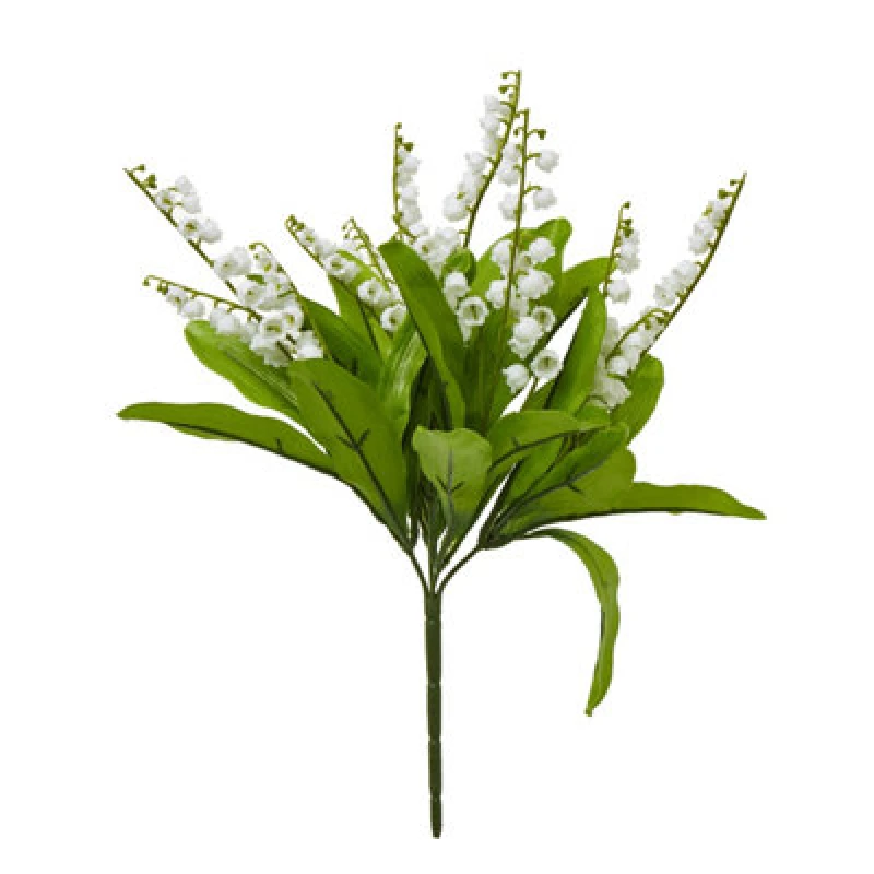 Image of Lily Of The Valley Bunch