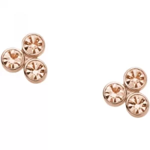 Image of Ladies Fossil PVD rose plating GLITZ EARRINGS