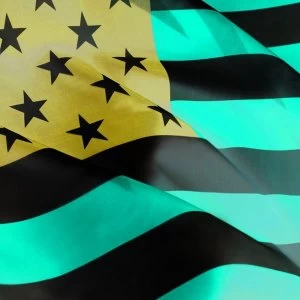 Image of Happy Jawbone Family Band - Happy Jawbone Family Band Vinyl