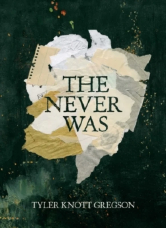 Image of The Never Was Hardback