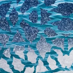 Image of El Nino & the Southern Oscillations by El Nino & The Southern Oscillations Vinyl Album