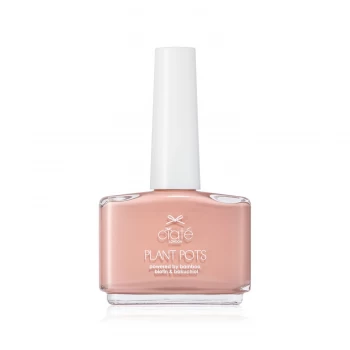 Image of Plant Pots - Sweet Blush