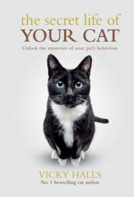 Image of The Secret Life Of Your Cat Paperback / softback