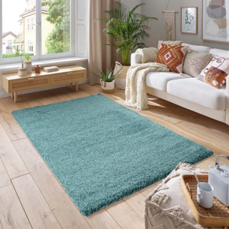 Image of Smart Living Smart Living Soft Fluffy 5cm Thick Pile Shaggy Area Rugs for Living Room, Bedroom in Duck Egg Blue Size: 120cm x 170cm Duck Egg Blue 12