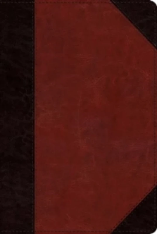 Image of ESV Study Bible, Personal Size (Trutone, Brown/Cordovan, Portfolio Design). Leather / fine binding. By T Desmond Alexander, Kenneth Laing Harris, John