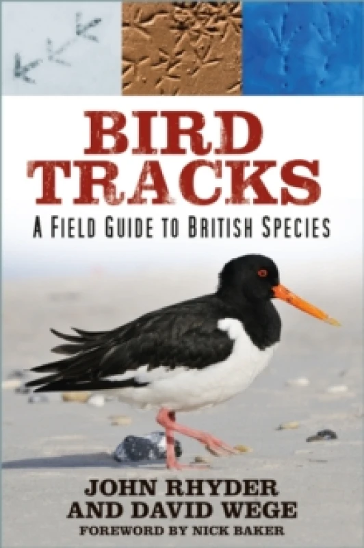 Image of Bird Tracks : A Field Guide to British Species Paperback / softback