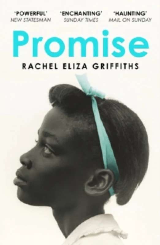 Image of Promise Paperback / softback