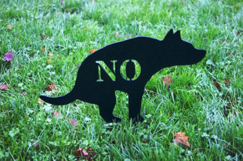 Image of Poppy Forge Dog - Garden Ornament - Solid Steel - W34.3 X H25.4cm - Black