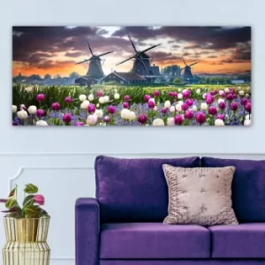 Image of YTY1481242091_50120 Multicolor Decorative Canvas Painting